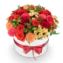 Box červených květin